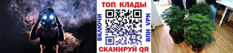 Виды наркоты Иннополис A PVP ГАШ Кокаин