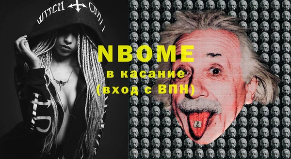 стафф Надым